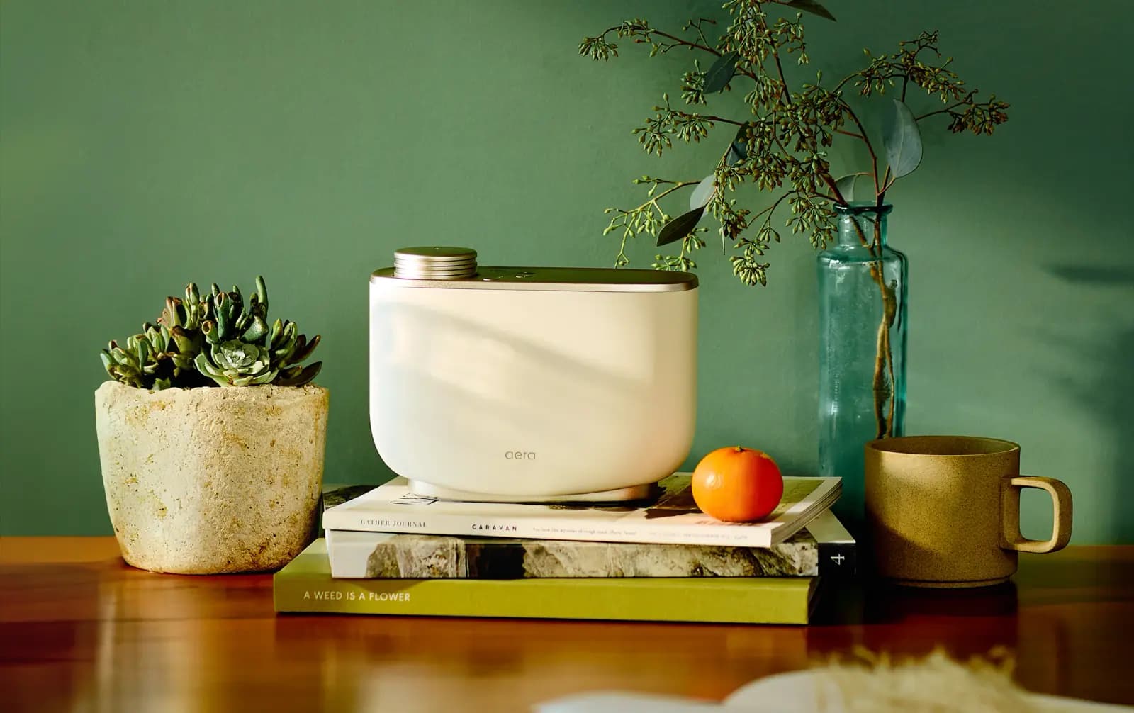  Aera Waterless Essential Oil Diffuser